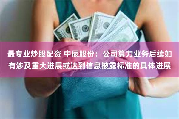最专业炒股配资 中辰股份：公司算力业务后续如有涉及重大进展或达到信息披露标准的具体进展