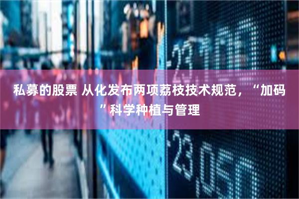私募的股票 从化发布两项荔枝技术规范，“加码”科学种植与管理