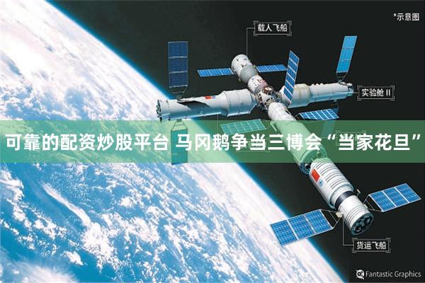可靠的配资炒股平台 马冈鹅争当三博会“当家花旦”