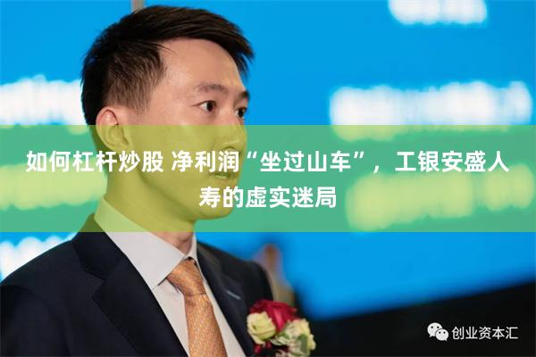 如何杠杆炒股 净利润“坐过山车”，工银安盛人寿的虚实迷局