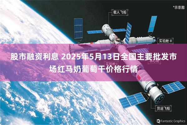 股市融资利息 2025年5月13日全国主要批发市场红马奶葡萄干价格行情