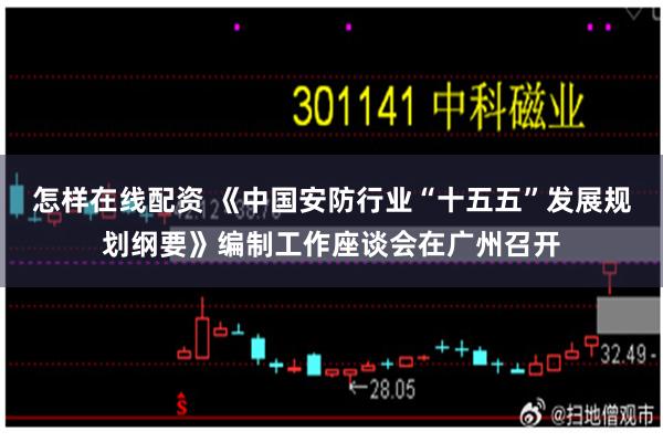 怎样在线配资 《中国安防行业“十五五”发展规划纲要》编制工作座谈会在广州召开
