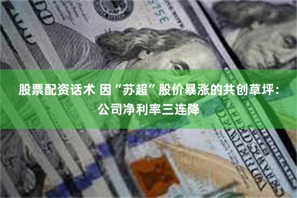 股票配资话术 因“苏超”股价暴涨的共创草坪：公司净利率三连降