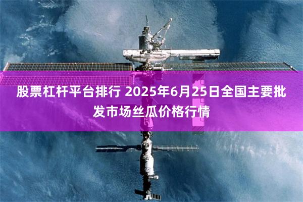股票杠杆平台排行 2025年6月25日全国主要批发市场丝瓜价格行情
