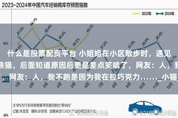 什么是股票配资平台 小姐姐在小区散步时，遇见一只见人不跑的可爱流浪猫，后面知道原因后更是差点笑喷了，网友：人，我不跑是因为我在拉巧克力……_小猫_动物_脑袋