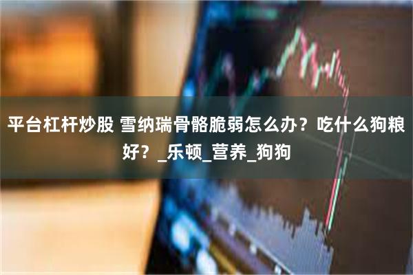 平台杠杆炒股 雪纳瑞骨骼脆弱怎么办？吃什么狗粮好？_乐顿_营养_狗狗