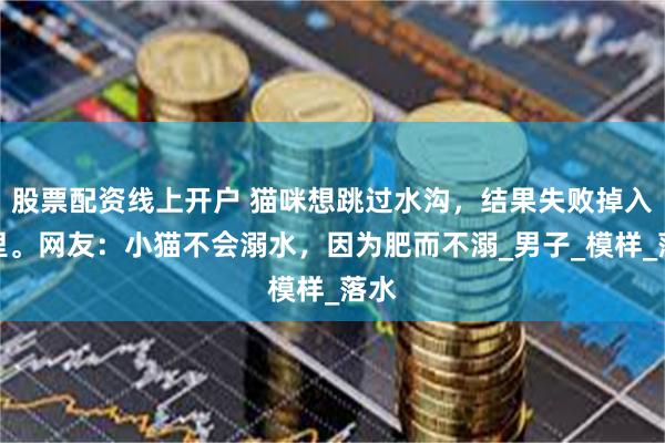 股票配资线上开户 猫咪想跳过水沟，结果失败掉入水里。网友：小猫不会溺水，因为肥而不溺_男子_模样_落水