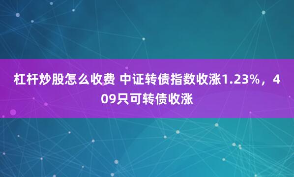 杠杆炒股怎么收费 中证转债指数收涨1.23%，409只可转债收涨