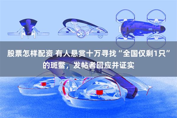 股票怎样配资 有人悬赏十万寻找“全国仅剩1只”的斑鳖，发帖者回应并证实