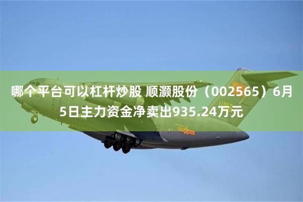 哪个平台可以杠杆炒股 顺灏股份（002565）6月5日主力资金净卖出935.24万元
