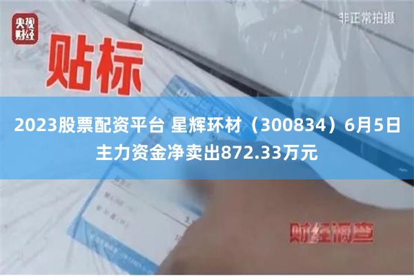 2023股票配资平台 星辉环材（300834）6月5日主力资金净卖出872.33万元