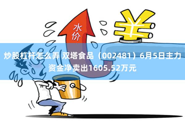 炒股杠杆怎么弄 双塔食品（002481）6月5日主力资金净卖出1605.52万元