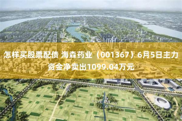 怎样买股票配债 海森药业（001367）6月5日主力资金净卖出1099.04万元