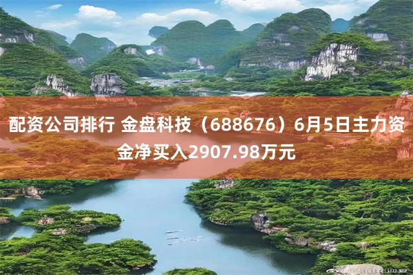 配资公司排行 金盘科技（688676）6月5日主力资金净买入2907.98万元