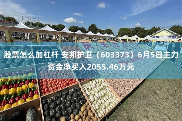 股票怎么加杠杆 安邦护卫（603373）6月5日主力资金净买入2055.46万元