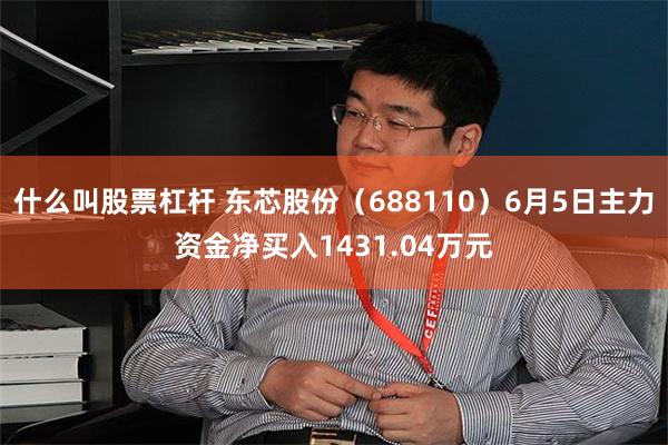 什么叫股票杠杆 东芯股份（688110）6月5日主力资金净买入1431.04万元