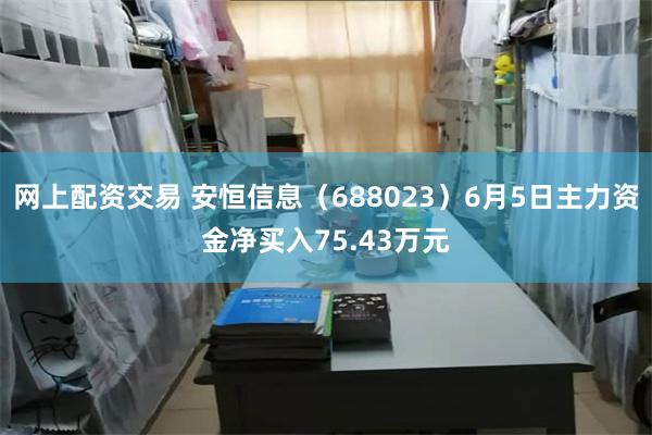 网上配资交易 安恒信息（688023）6月5日主力资金净买入75.43万元