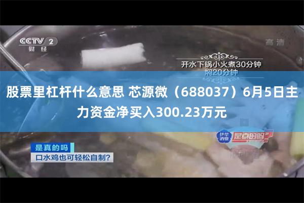股票里杠杆什么意思 芯源微（688037）6月5日主力资金净买入300.23万元