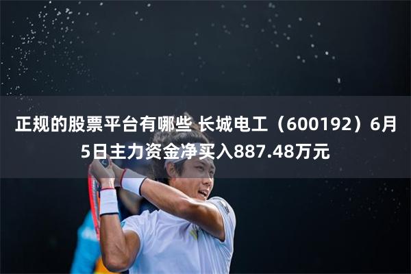 正规的股票平台有哪些 长城电工（600192）6月5日主力资金净买入887.48万元
