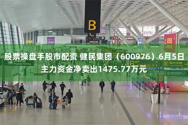 股票操盘手股市配资 健民集团（600976）6月5日主力资金净卖出1475.77万元