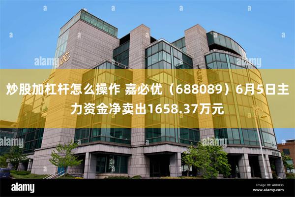 炒股加杠杆怎么操作 嘉必优（688089）6月5日主力资金净卖出1658.37万元