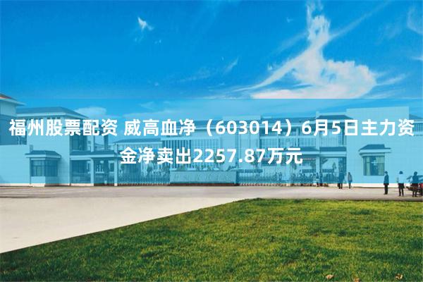 福州股票配资 威高血净（603014）6月5日主力资金净卖出2257.87万元