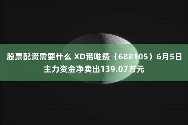 股票配资需要什么 XD诺唯赞（688105）6月5日主力资金净卖出139.07万元