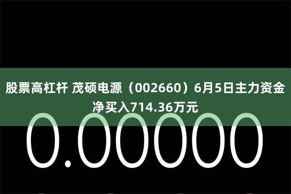 股票高杠杆 茂硕电源（002660）6月5日主力资金净买入714.36万元