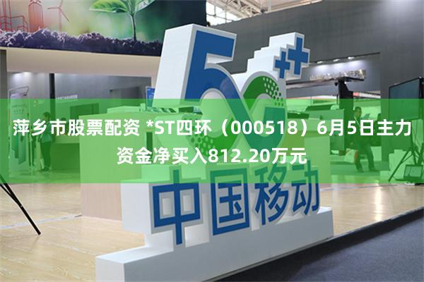 萍乡市股票配资 *ST四环（000518）6月5日主力资金净买入812.20万元