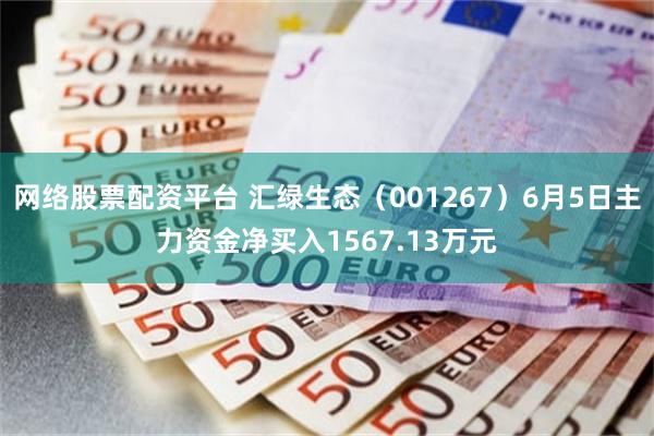 网络股票配资平台 汇绿生态（001267）6月5日主力资金净买入1567.13万元