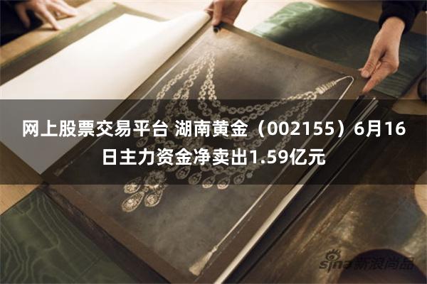 网上股票交易平台 湖南黄金（002155）6月16日主力资金净卖出1.59亿元