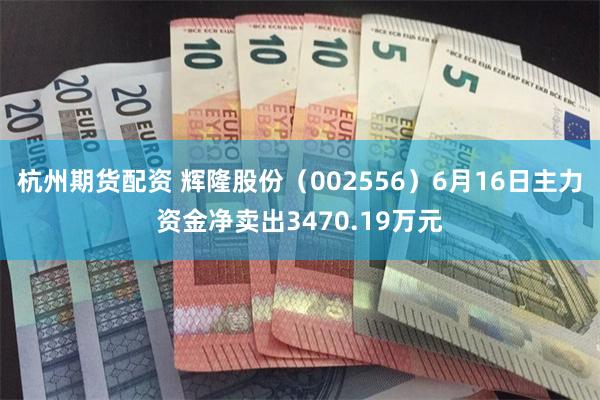 杭州期货配资 辉隆股份（002556）6月16日主力资金净卖出3470.19万元