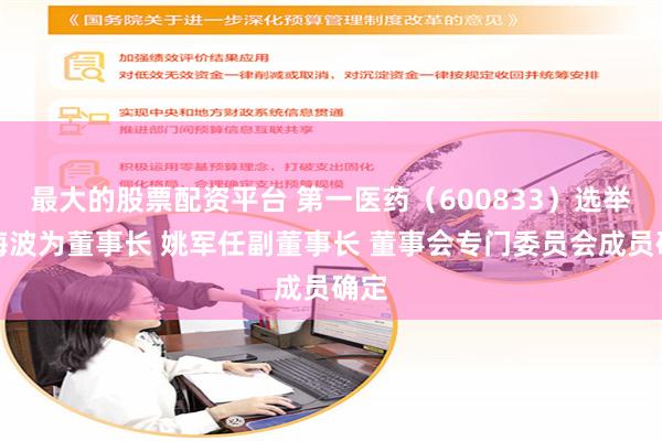 最大的股票配资平台 第一医药（600833）选举张海波为董事长 姚军任副董事长 董事会专门委员会成员确定