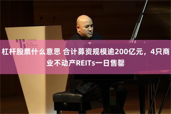 杠杆股票什么意思 合计募资规模逾200亿元，4只商业不动产REITs一日售罄
