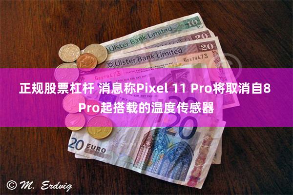 正规股票杠杆 消息称Pixel 11 Pro将取消自8 Pro起搭载的温度传感器