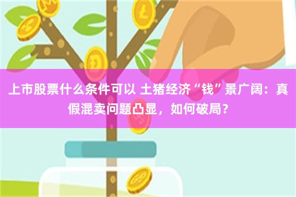上市股票什么条件可以 土猪经济“钱”景广阔：真假混卖问题凸显，如何破局？