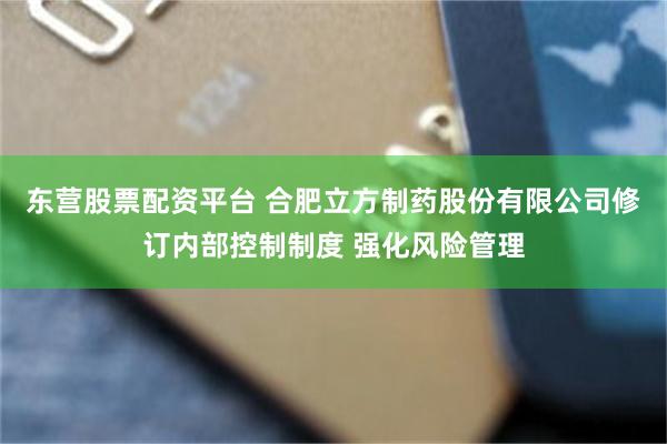 东营股票配资平台 合肥立方制药股份有限公司修订内部控制制度 强化风险管理