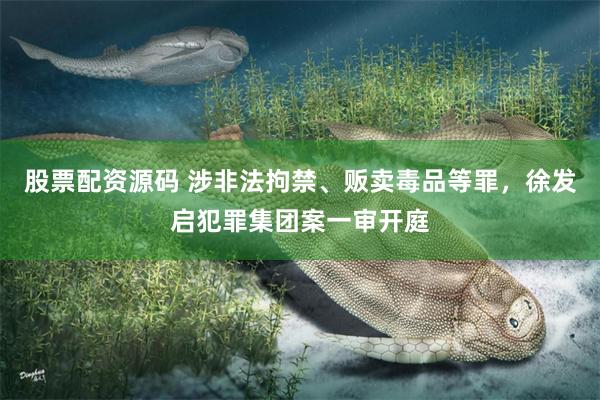 股票配资源码 涉非法拘禁、贩卖毒品等罪，徐发启犯罪集团案一审开庭
