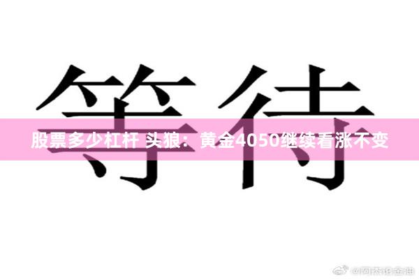 股票多少杠杆 头狼：黄金4050继续看涨不变