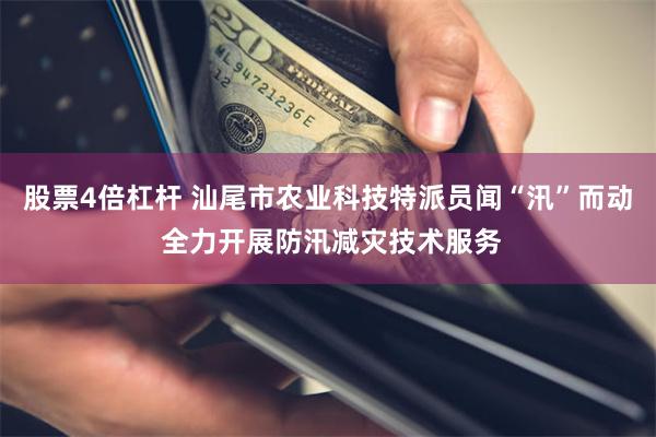 股票4倍杠杆 汕尾市农业科技特派员闻“汛”而动 全力开展防汛减灾技术服务