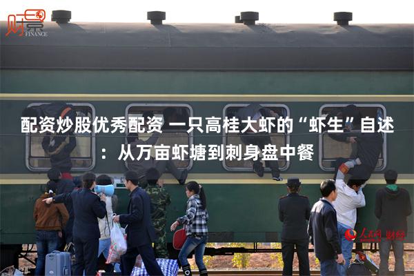 配资炒股优秀配资 一只高桂大虾的“虾生”自述:从万亩虾塘到刺身盘中餐