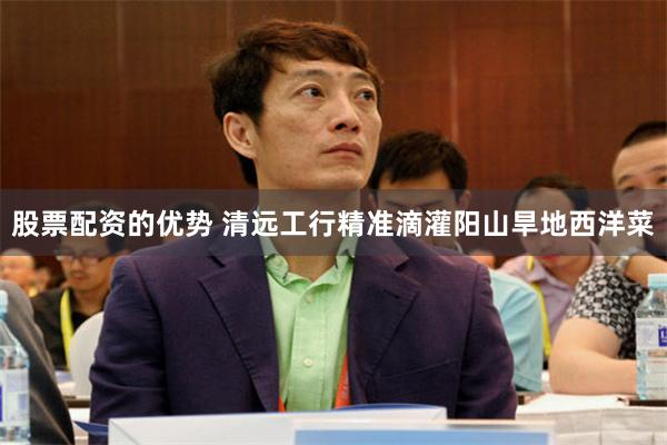 股票配资的优势 清远工行精准滴灌阳山旱地西洋菜