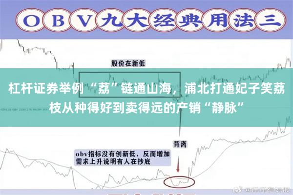 杠杆证券举例 “荔”链通山海，浦北打通妃子笑荔枝从种得好到卖得远的产销“静脉”