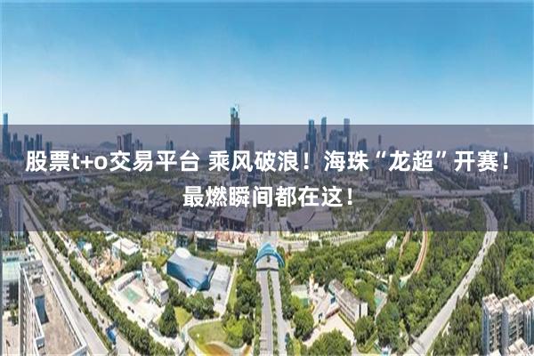 股票t+o交易平台 乘风破浪！海珠“龙超”开赛！最燃瞬间都在这！