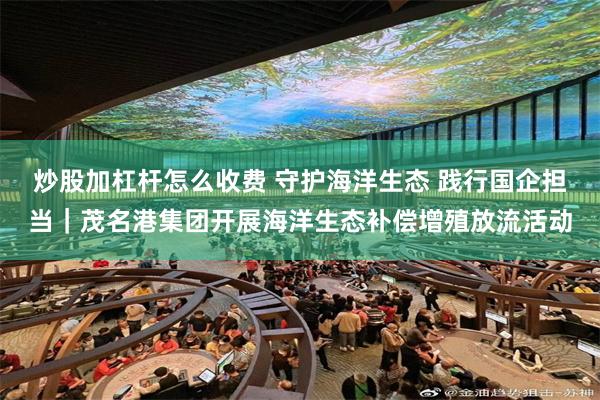 炒股加杠杆怎么收费 守护海洋生态 践行国企担当|茂名港集团开展海洋生态补偿增殖放流活动