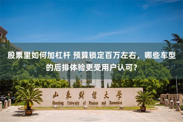 股票里如何加杠杆 预算锁定百万左右,哪些车型的后排体验更受用户认可?
