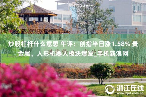 炒股杠杆什么意思 午评：创指半日涨1.58% 贵金属、人形机器人板块爆发_手机新浪网
