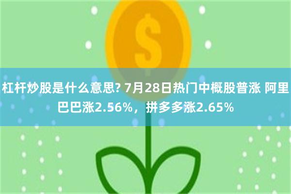 杠杆炒股是什么意思? 7月28日热门中概股普涨 阿里巴巴涨2.56%，拼多多涨2.65%