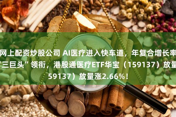 网上配资炒股公司 AI医疗进入快车道，年复合增长率超30%！“三巨头”领衔，港股通医疗ETF华宝（159137）放量涨2.66%！