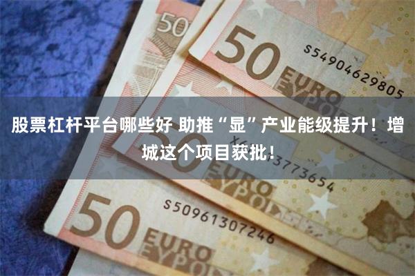 股票杠杆平台哪些好 助推“显”产业能级提升！增城这个项目获批！